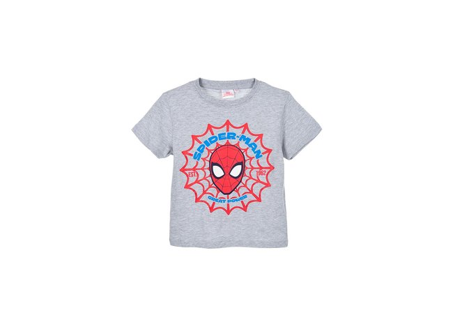 T-shirt spiderman gris