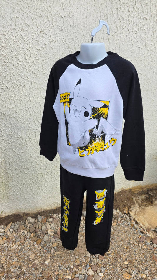 Ensemble pokemon
