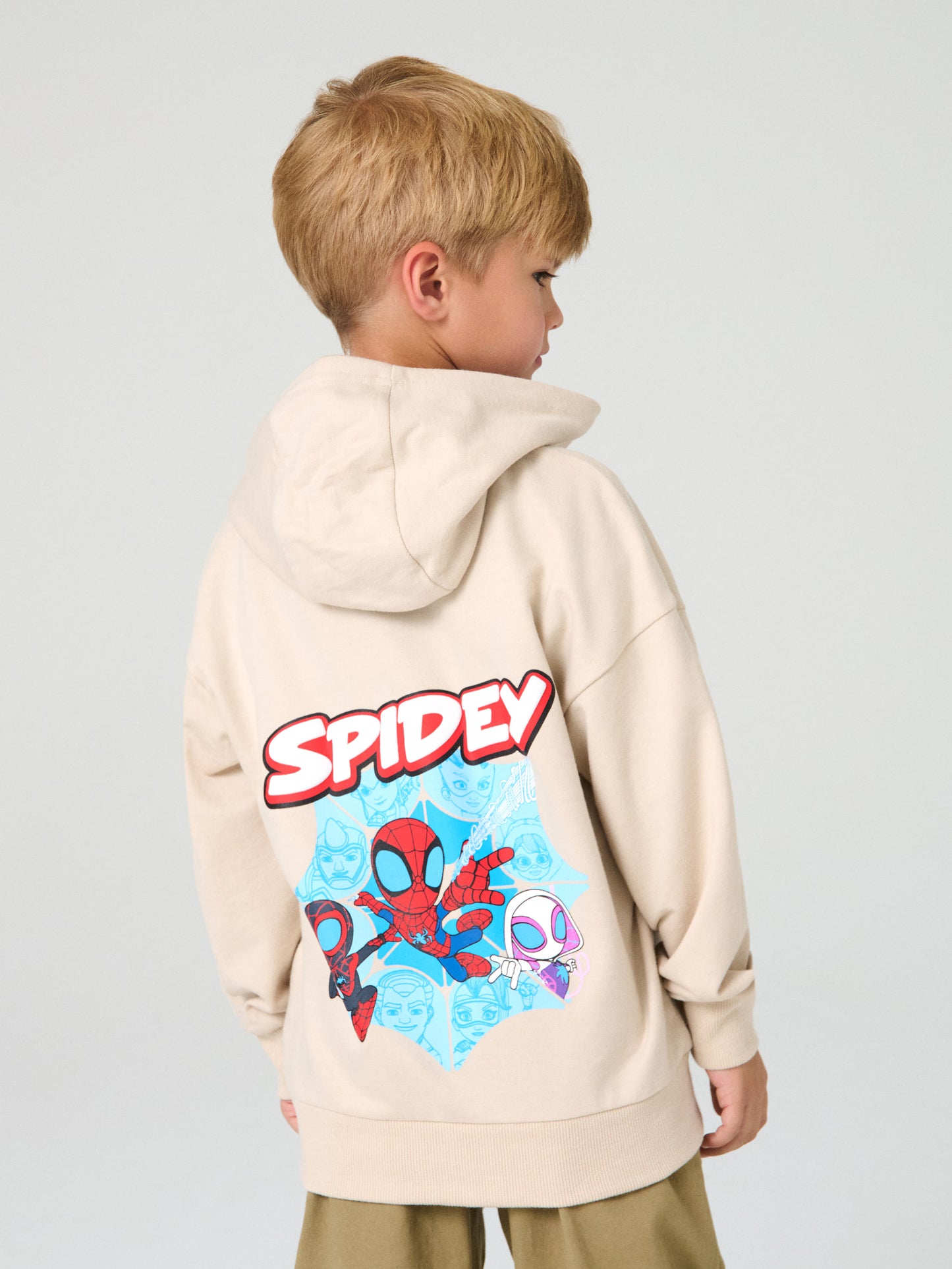 Ensemble spidey