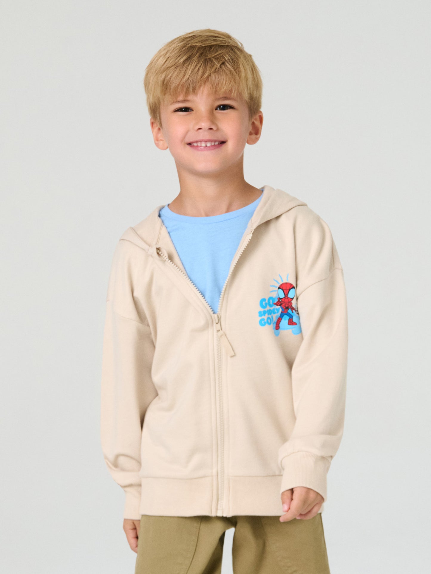 Ensemble spidey