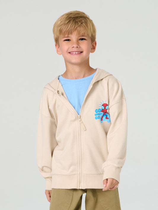 Ensemble spidey