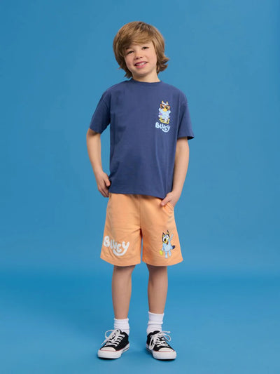 Ensemble bluey
