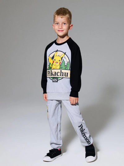 Ensemble pokemon
